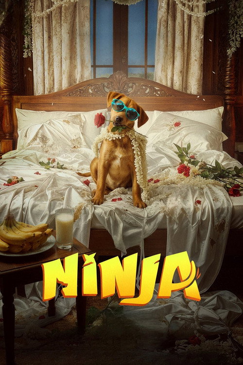 Movie poster for Ninja