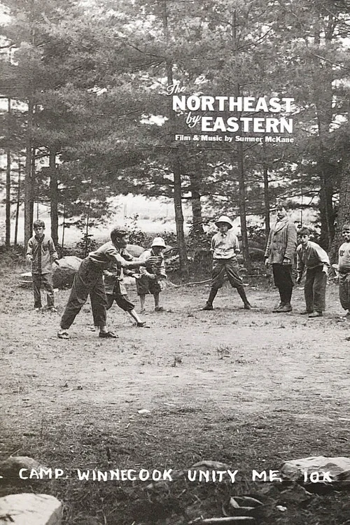 Movie poster for The Northeast by Eastern (2016)