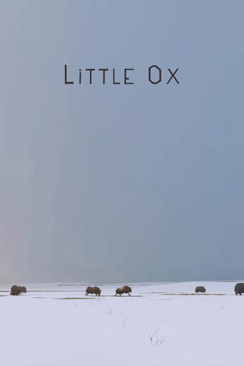 Movie poster for Little Ox (2021)