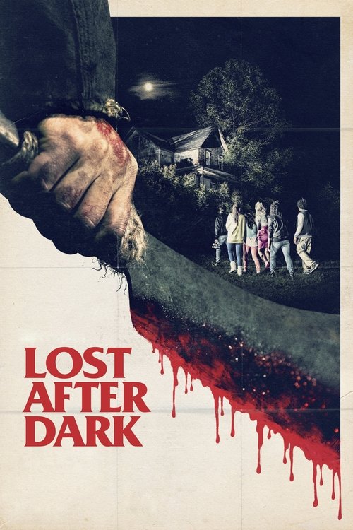 Movie poster for Lost After Dark (2014)