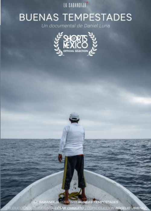 Movie poster for Good Storms (2022)