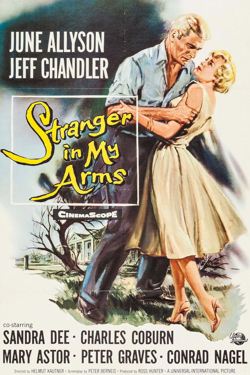 Movie poster for A Stranger in My Arms (1959)