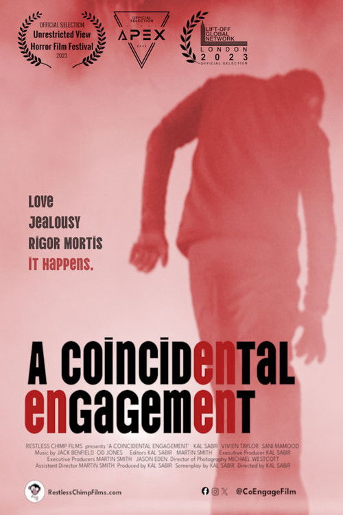Movie poster for A Coincidental Engagement (2024)