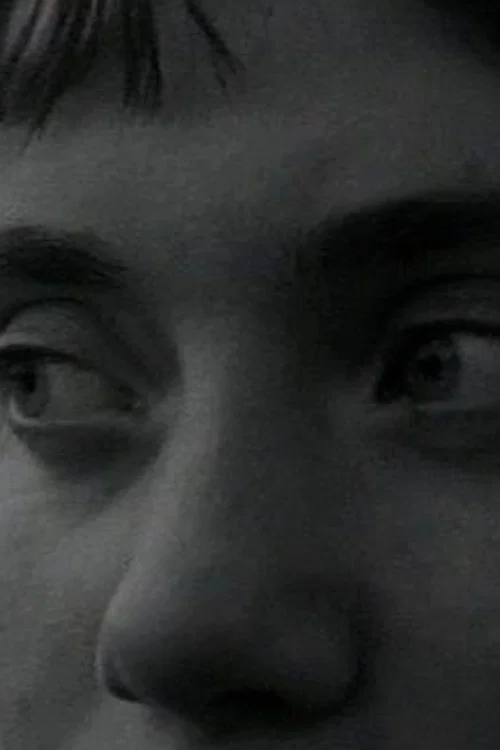 Movie poster for Last Goodbye (2006)