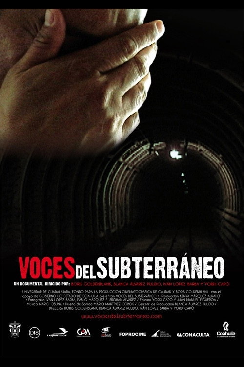 Movie poster for Underground Voices (2010)