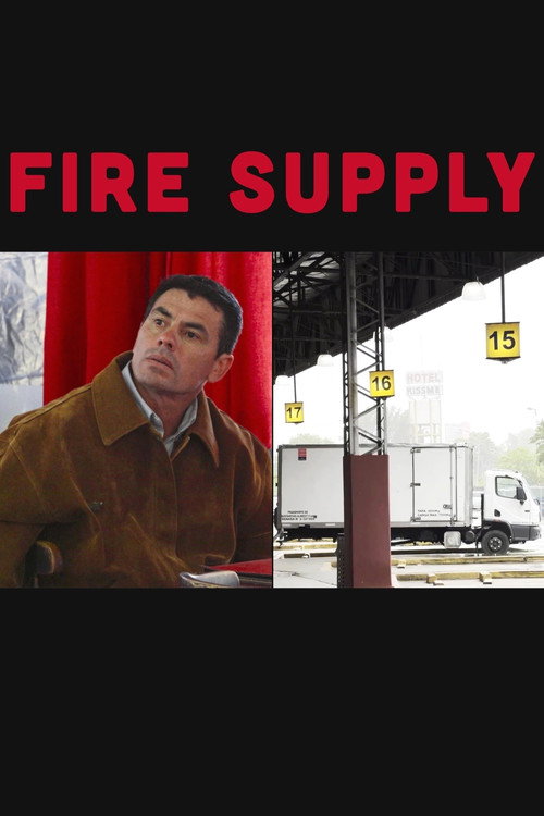 Movie poster for Fire Supply (2024)