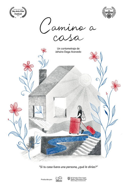 Movie poster for Camino a casa