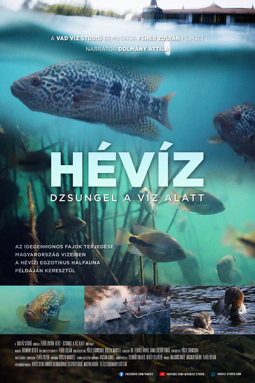 Movie poster for The Underwater Jungle (2025)