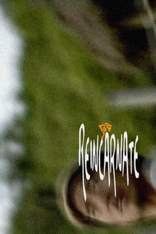 Movie poster for Reincarnate (2010)