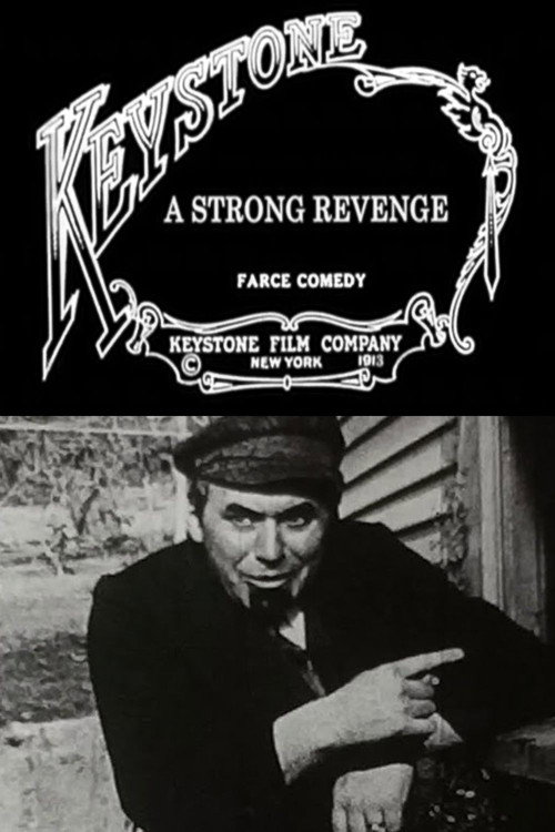 Movie poster for A Strong Revenge (1913)
