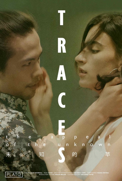 Movie poster for Traces