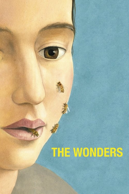 Movie poster for The Wonders (2014)