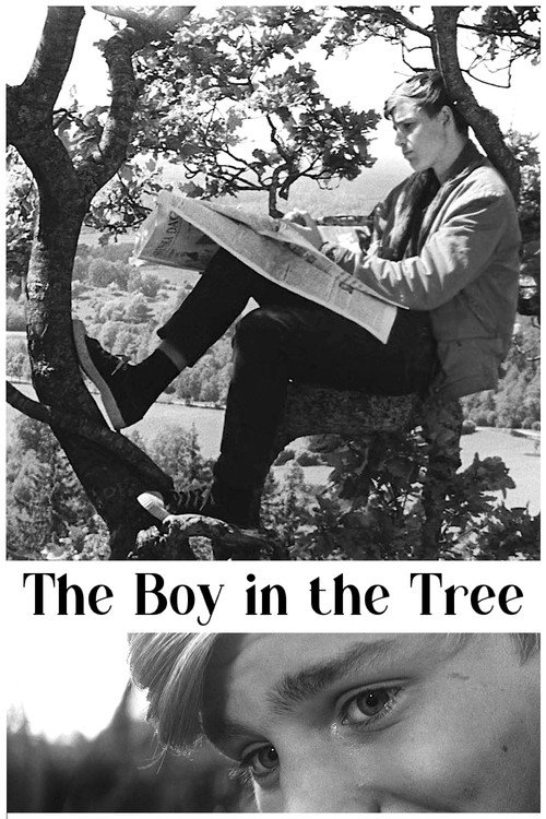 Movie poster for The Boy in the Tree (1961)