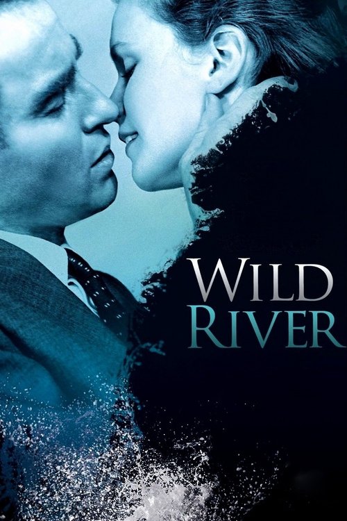 Movie poster for Wild River (1960)