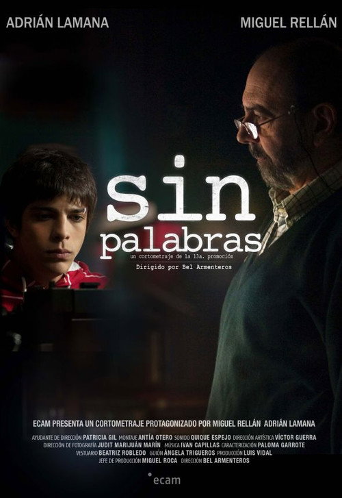Movie poster for Sin palabras (2010)