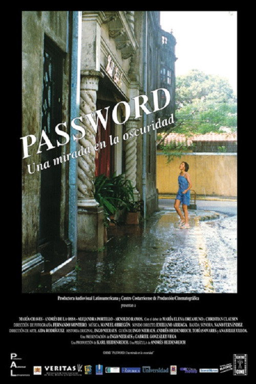 Movie poster for Password (2002)