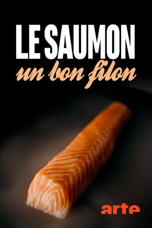 Movie poster for Die Gier nach Lachs (2020)