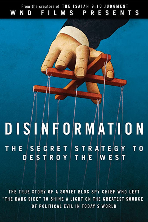 Movie poster for Disinformation (2013)