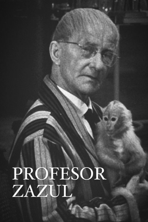 Profesor Zazul poster