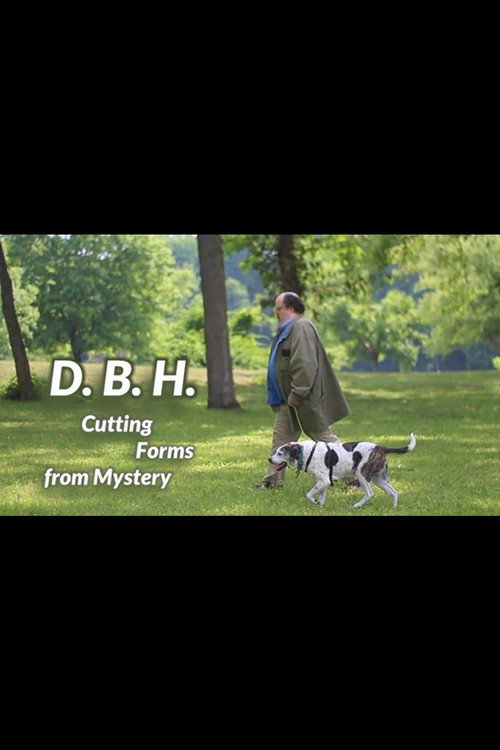 Movie poster for DBH: Cutting Forms from Mystery (2025)