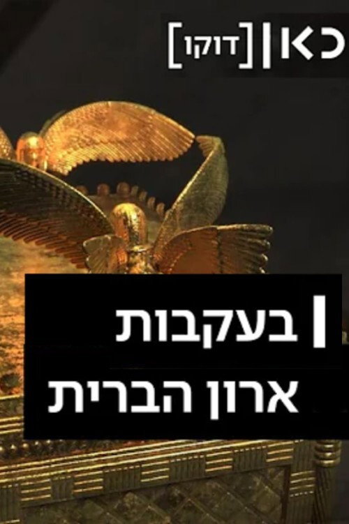 Movie poster for Following the Ark of the Covenant (2020)