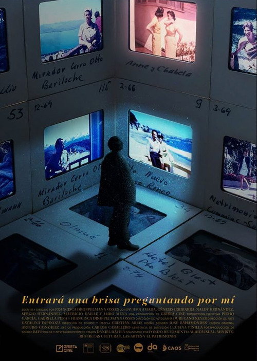Movie poster for Entrará una brisa preguntando por mí (2024)