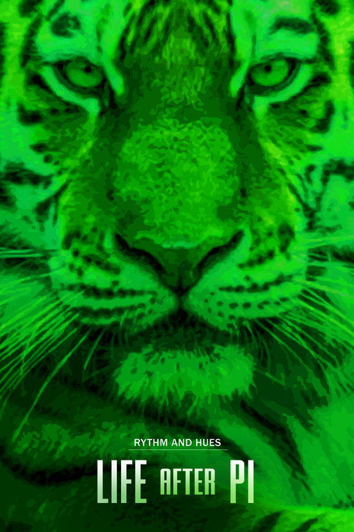 Movie poster for Life After Pi (2014)
