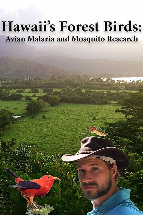Movie poster for Hawaii's Forest Birds: Avian Malaria and Mosquito Research (2018)