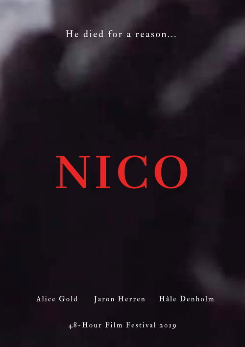 Movie poster for NICO (2019)