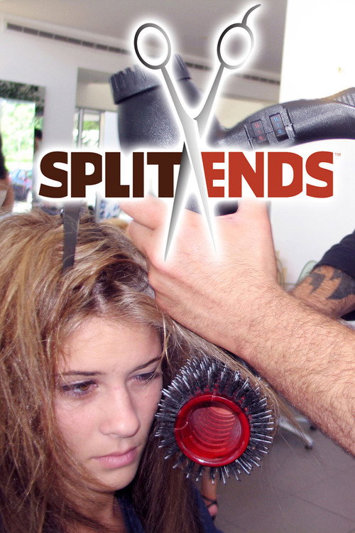 Series poster for Split Ends (2006)