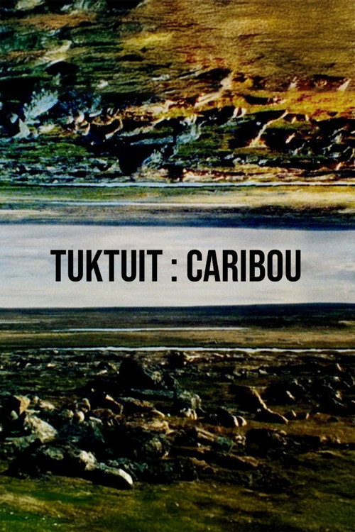 Movie poster for Tuktuit: Caribou (2025)