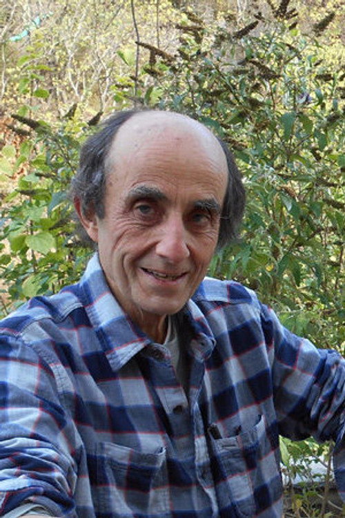 Photo of Bernard Palacios, Directing
