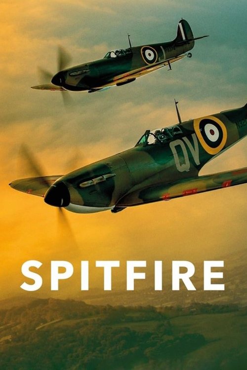 Movie poster for Spitfire (2018)