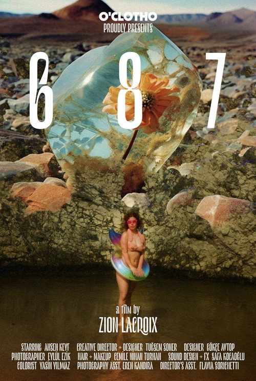 Movie poster for 687 (2023)