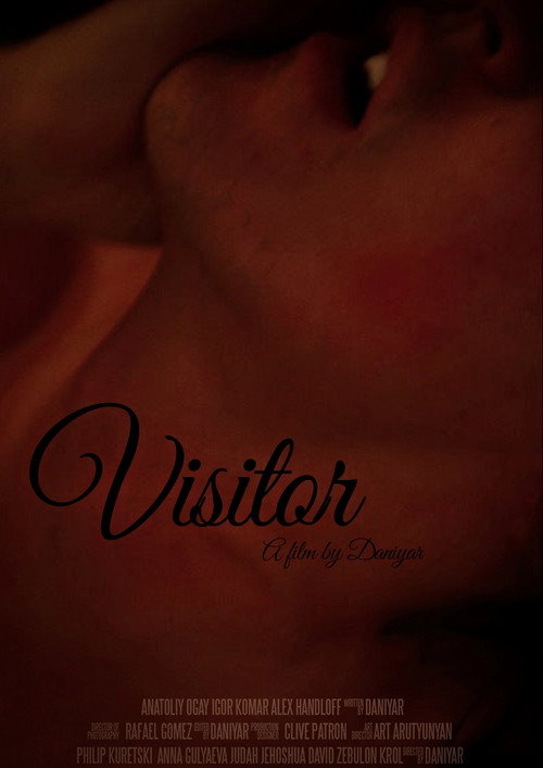 Movie poster for Visitor (2017)