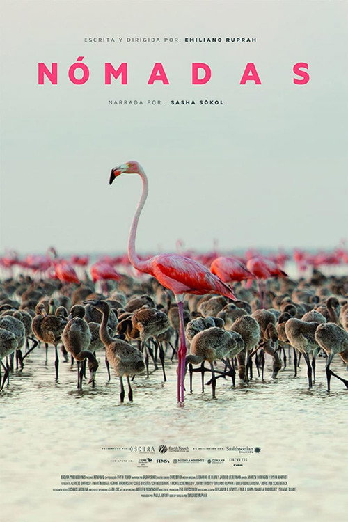 Movie poster for Nomads (2020)