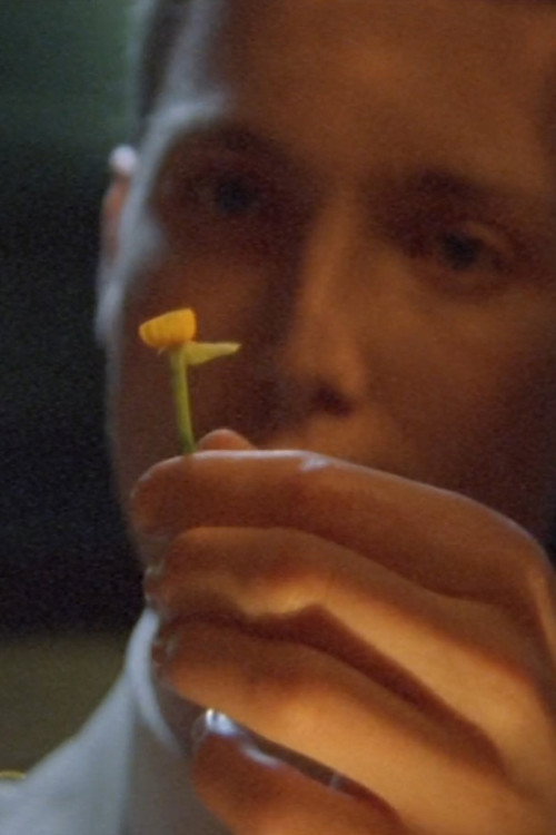 Movie poster for The Man Who Loved Flowers (2004)