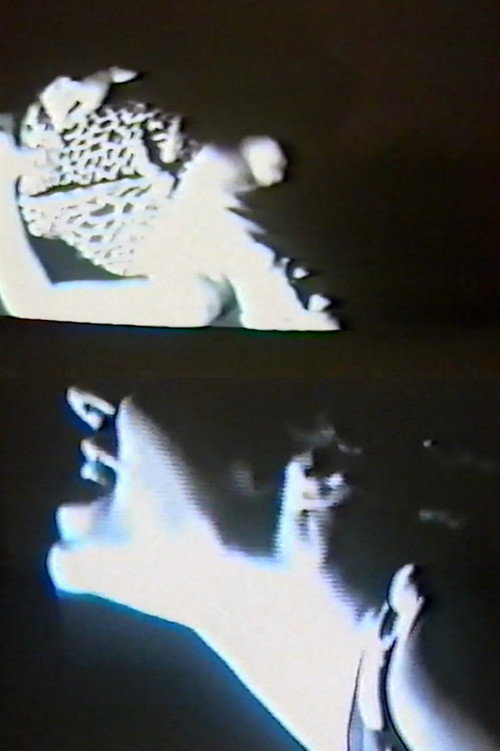 Movie poster for Fine Fine è il respiro (1986)