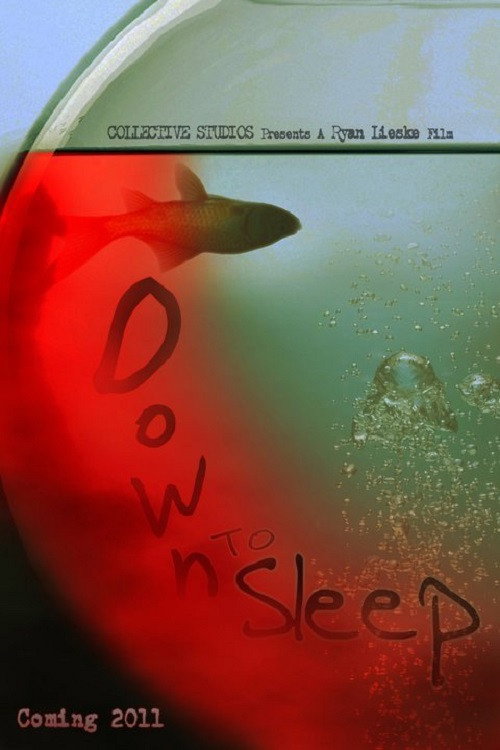 Movie poster for Down to Sleep (2011)