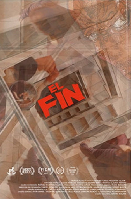Movie poster for El Fin (2017)