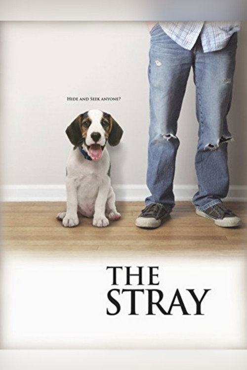Movie poster for The Stray (2012)