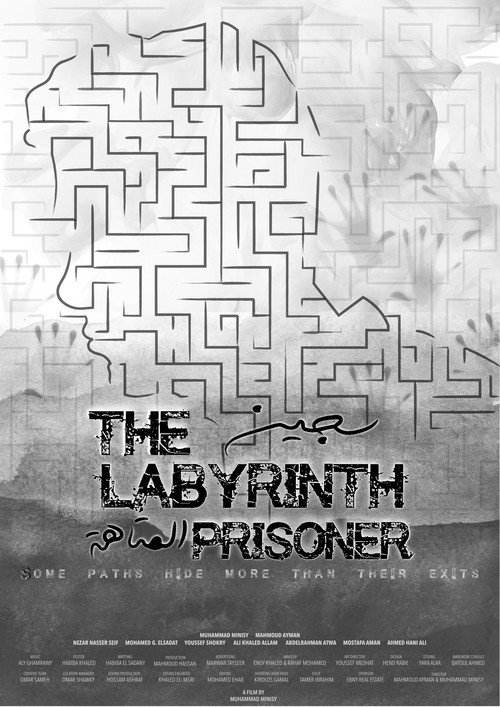 Movie poster for The Labyrinth Prisoner (2021)