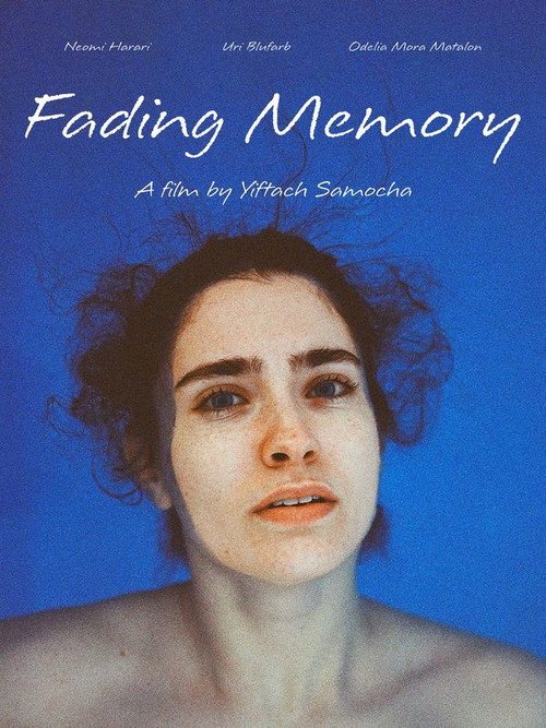 Movie poster for Fading Memory (2025)