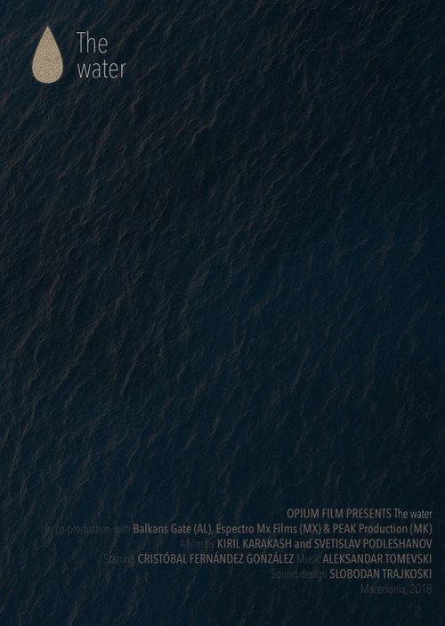 Movie poster for The Water (2018)