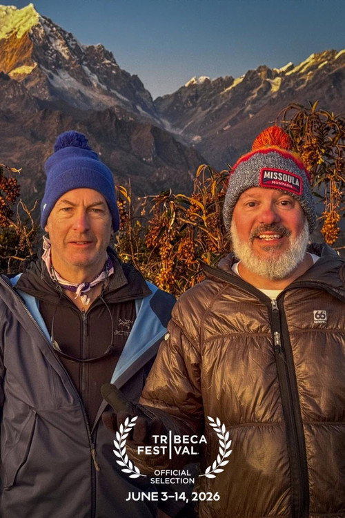 Movie poster for Bob and David Climb Machu Picchu (2026)