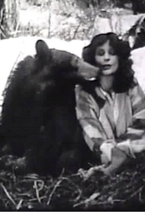 Movie poster for The Light on Lookout Mountain (1926)