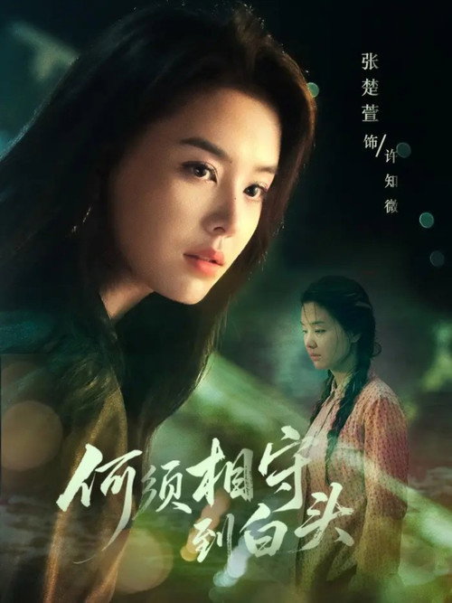 何须相守到白头 poster