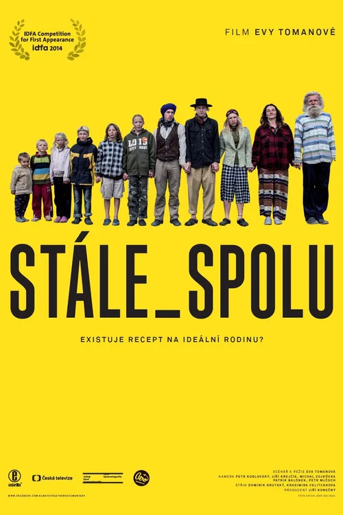 Movie poster for Stále spolu (2015)