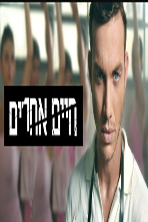 Series poster for חיים אחרים (2010)