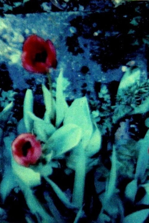 Movie poster for Kleist (1993)